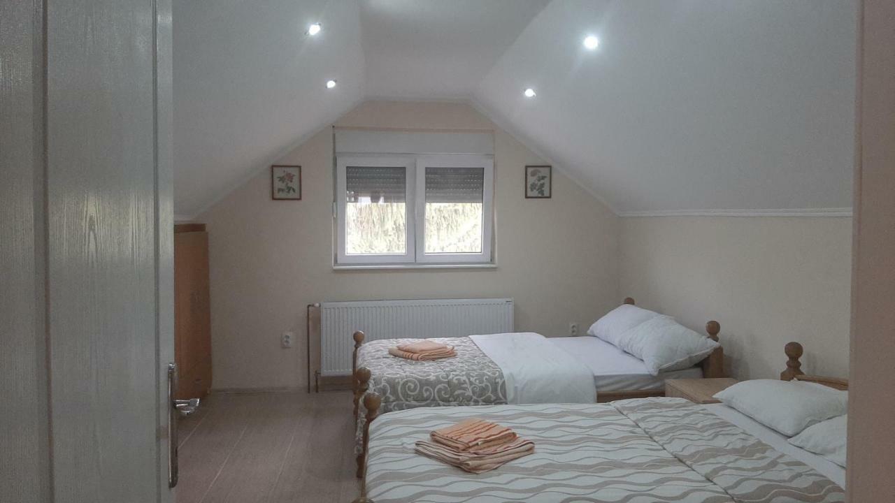 Aleksandar Vila Br Vrdnik Habitación foto